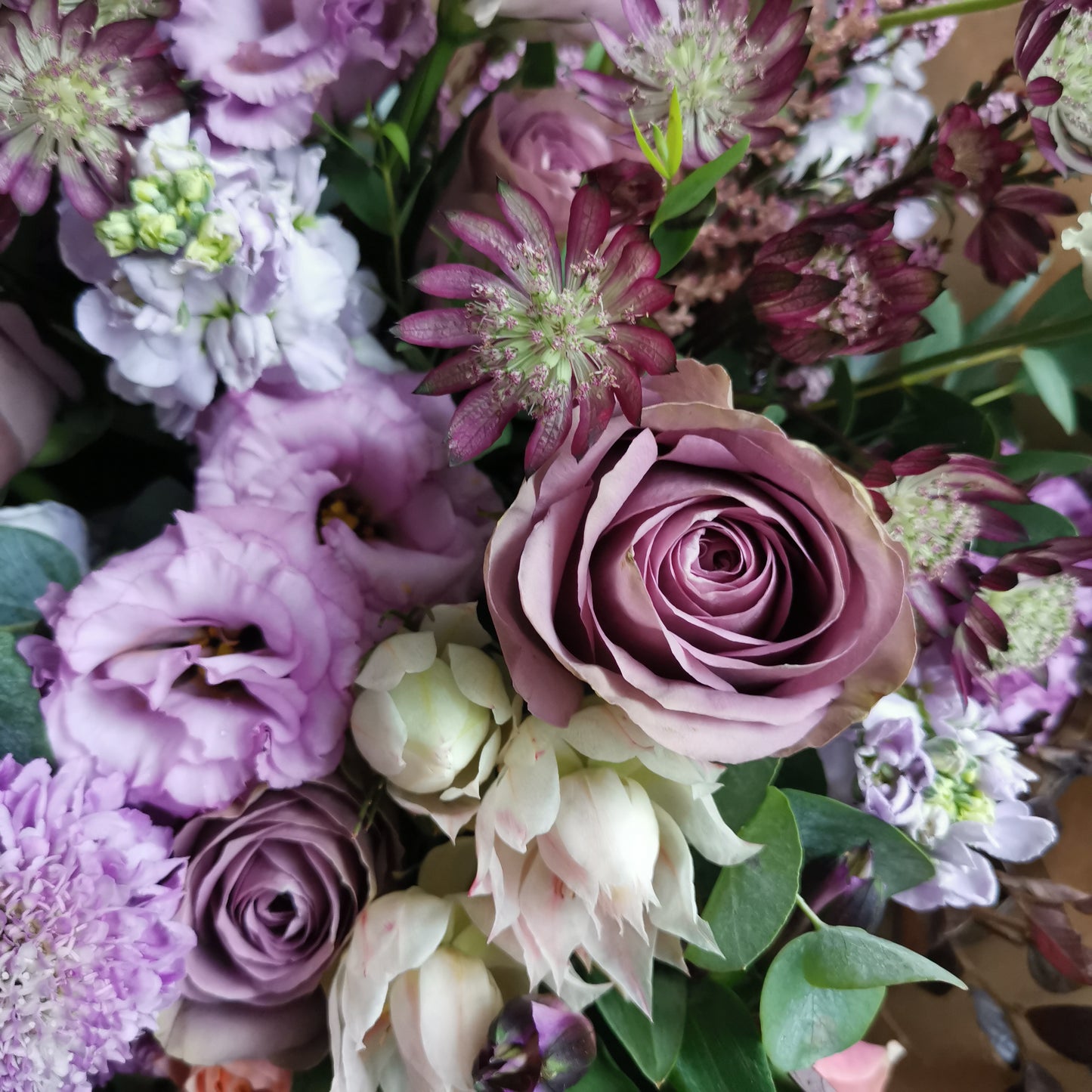 Violet