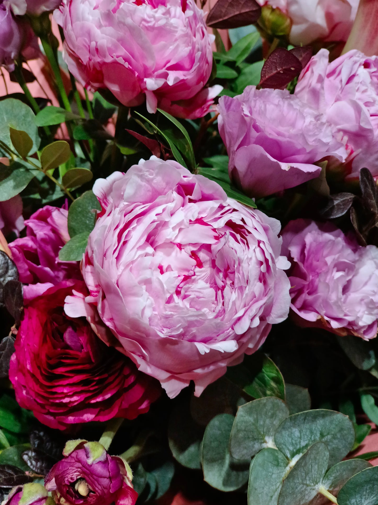 Peonia