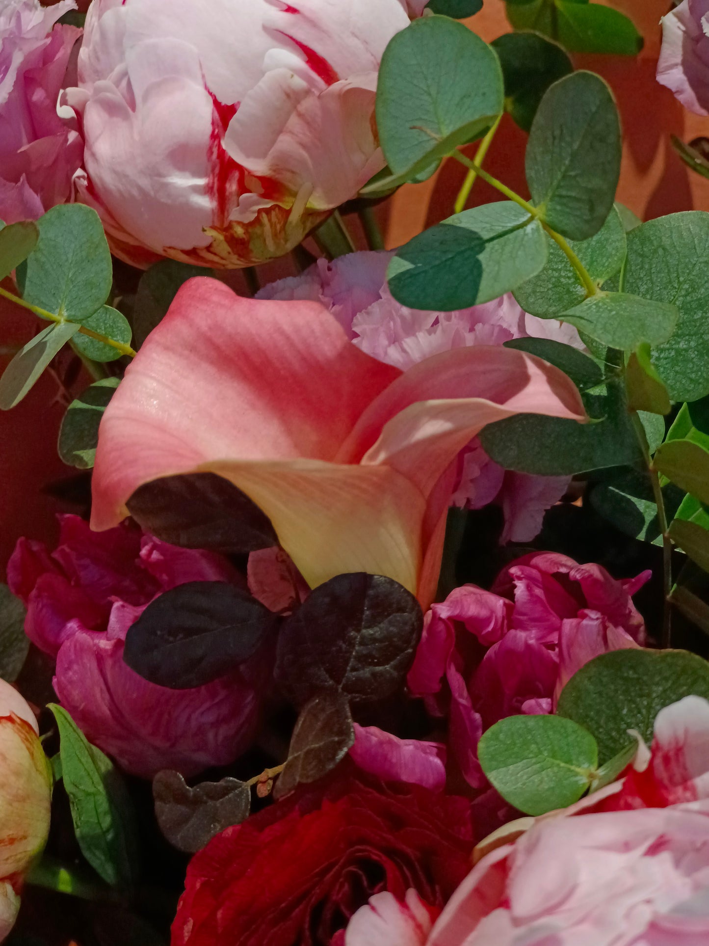 Peonia