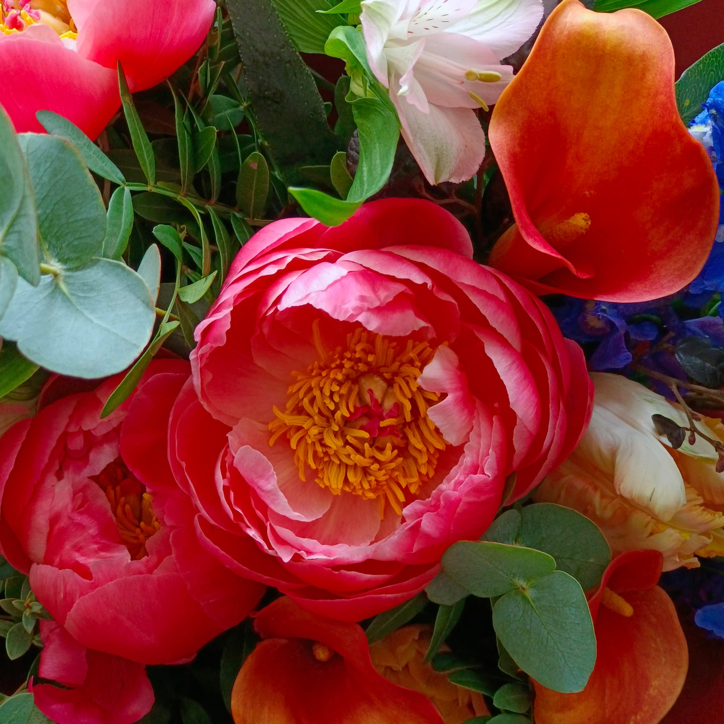 Rosa