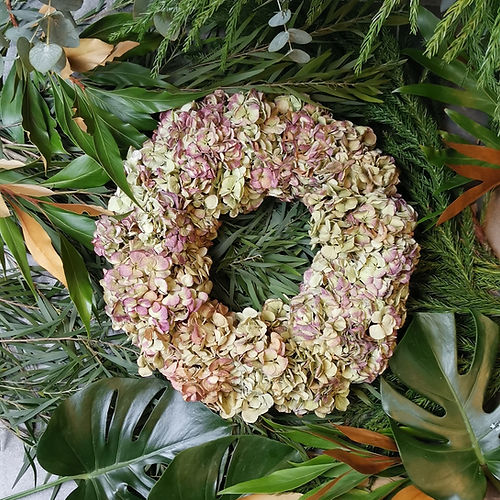 Hydrangea Lover